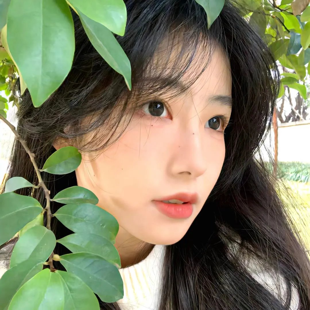流血的房子